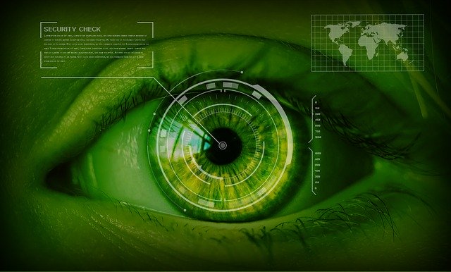 bio authentication with an iris recognition