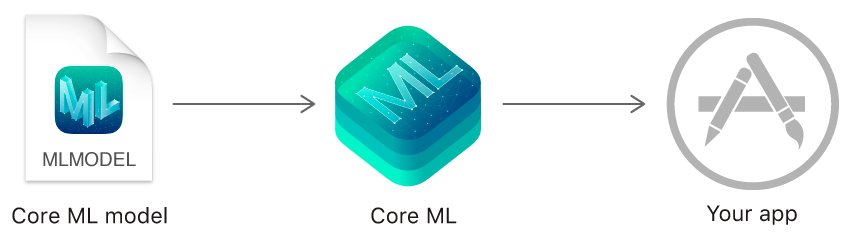 coreML iOS app machine learning development
