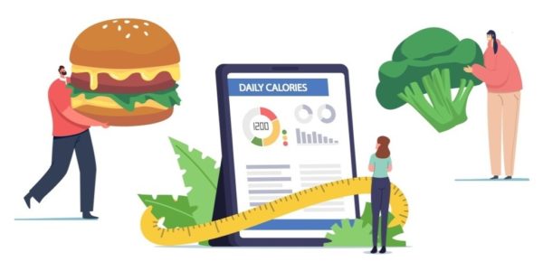 develop a diet tracking and nutrition app