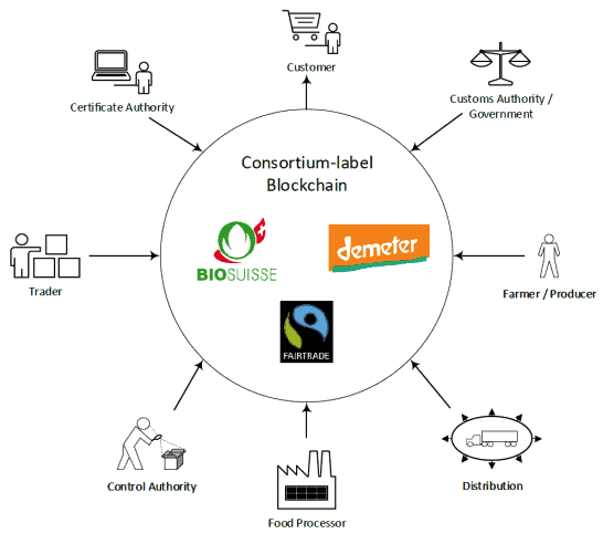 build private ethereum blockchain or consortium network