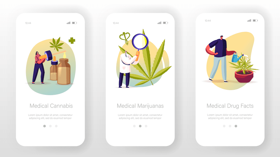cannabis delivery app development