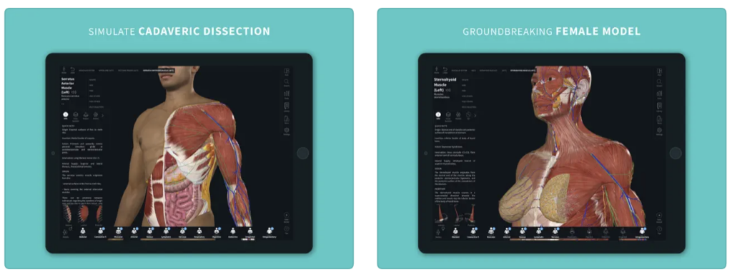 3d anatomy health app design example