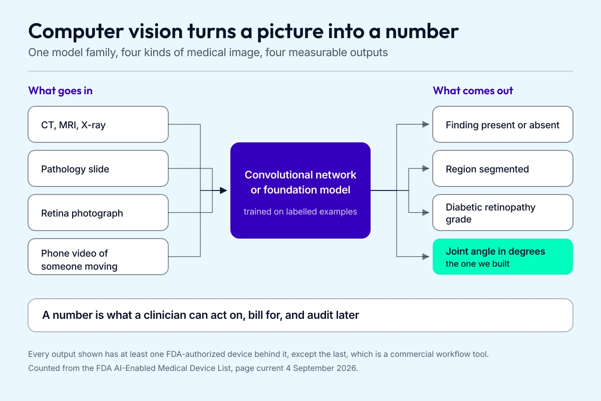 Diagram showing computer vision medical imaging inputs such as CT, pathology slides and retina photographs passing through a model to produce measurable clinical outputs