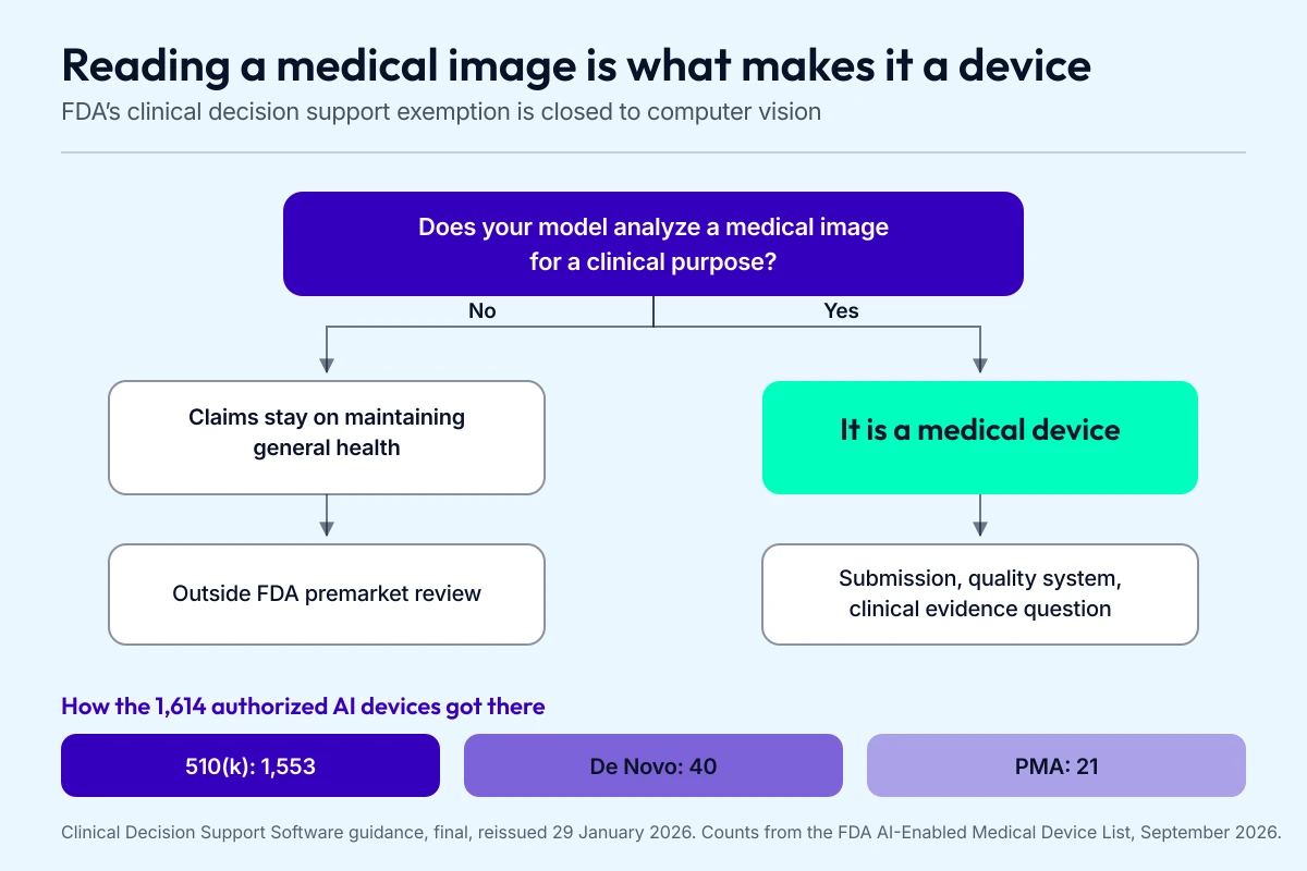 Decision flowchart showing that software analyzing a medical image for a clinical purpose is a medical device, with the 510(k), De Novo and PMA pathway split