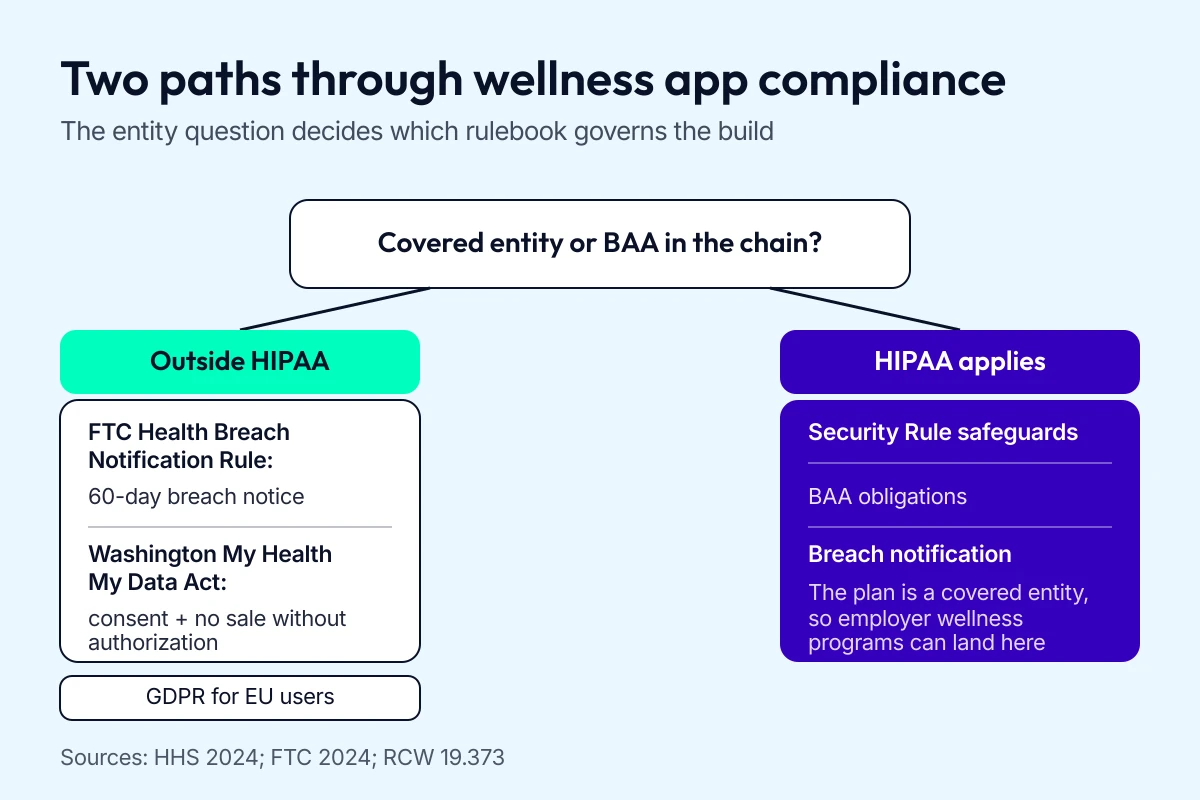 Decision path for wellness app compliance showing HIPAA applies when a covered entity or business associate is involved, while the FTC Health Breach Notification Rule and state health data laws apply to direct-to-consumer apps.